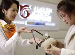 營(yíng)銷(xiāo)策劃